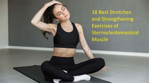 18 Best Exercises of Sternocleidomastoid Muscle