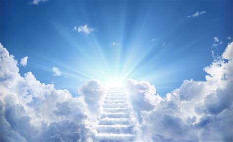 Will You Go to Heaven? | Glad Tidings