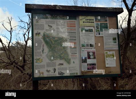 Epsom Surrey England Epsom Common Local Nature Reserve Noticeboard and ...