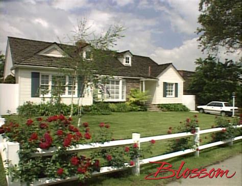 The “Blossom” House – IAMNOTASTALKER