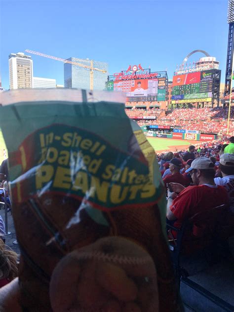 I took the baseball peanuts to the baseball ⚾️ game today. : r/traderjoes