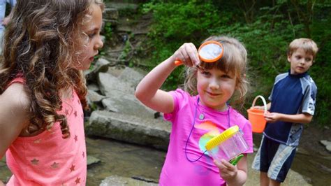 Five Rivers MetroParks provides a variety of educational programs. Summer is the ideal time to ...