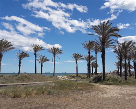 THE BEST Castellón de la Plana Beaches (2024) - Tripadvisor