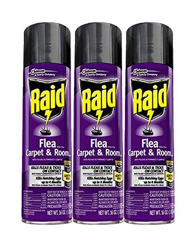 Raid Flea Killer Carpet and Room Spray, 16 oz (16 oz,Pack - 3) | Pricepulse