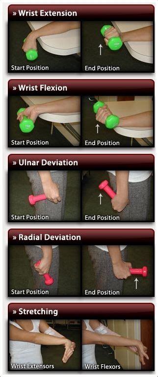 7 Best Forearm stretches physical therapy ideas | forearm stretches ...