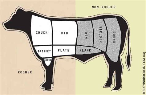 Busy in Brooklyn » Kosher Meat Guide: Cuts & Cooking Methods | Meat cuts, Kosher cooking, Kosher ...