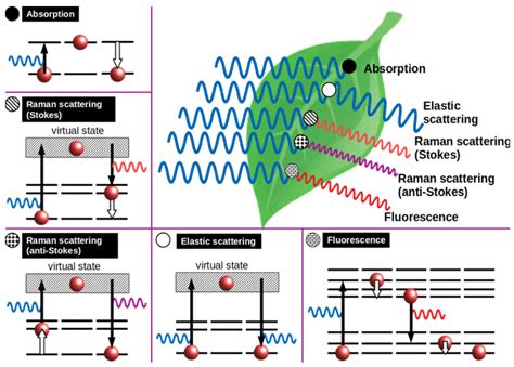 Applied Sciences | Free Full-Text | Making Sense of Light: The Use of Optical Spectroscopy ...