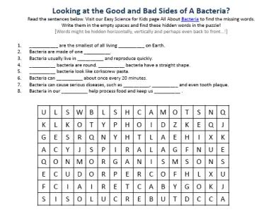 Bacteria Shapes Worksheet