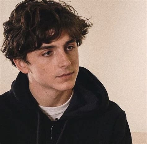 Bel homme | Timothee chalamet, Beautiful boys, Pretty people