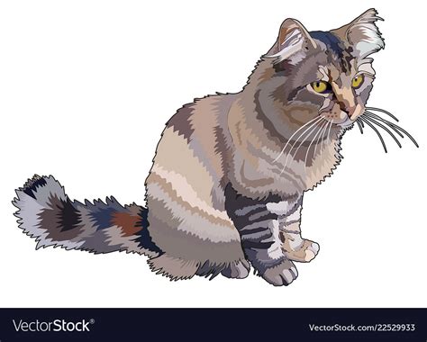 Realistic cat Royalty Free Vector Image - VectorStock