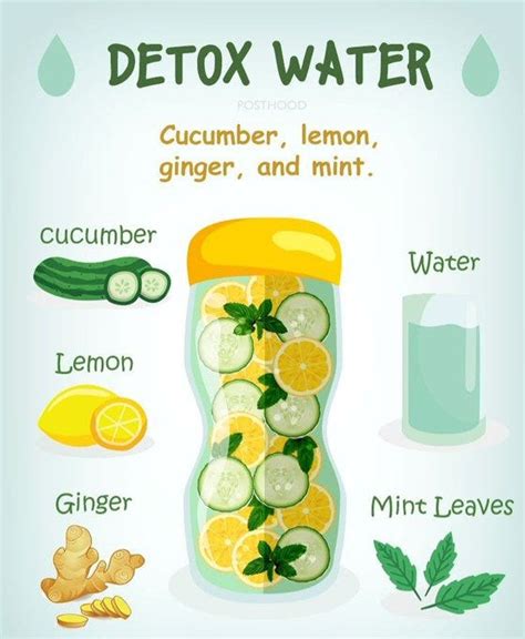 4 Healthy Detox Drinks Recipes for Weight Loss and Body Cleansing | by ...