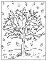 Fall Tree Pictures To Color sketch template