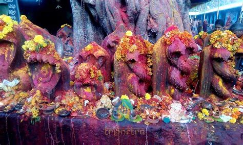 Rahu Ketu Pooja - Temples, Darshan Timings,Ticket cost, Benefits