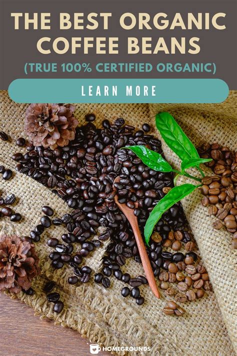 The Best Organic Coffee Beans (USDA 100% Certified Organic) | Best organic coffee, Organic ...