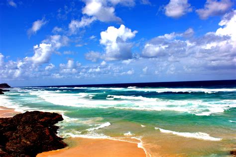 Fraser Island - Sand Dunes & Dingoes - Visions of Johanna