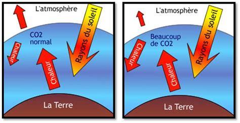 Effet de Serre - Effet de Serre et Cycles Biogéochimiques