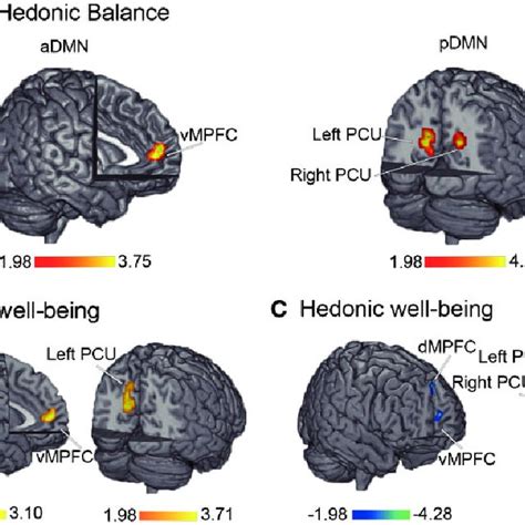 Correlations between hedonic and eudaimonic well-being. | Download ...