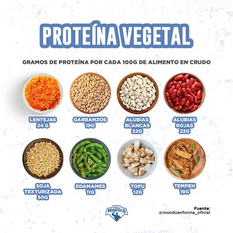 Proteina Vegetal Dog Food Recipes, Vegetarian Recipes, Healthy Recipes, Macro Meals, Calorie ...