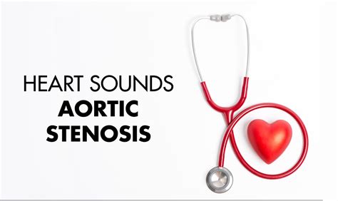 Aortic Stenosis Murmur