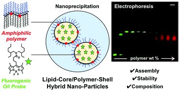 Lipid-core/polymer-shell hybrid nanoparticles: synthesis and ...