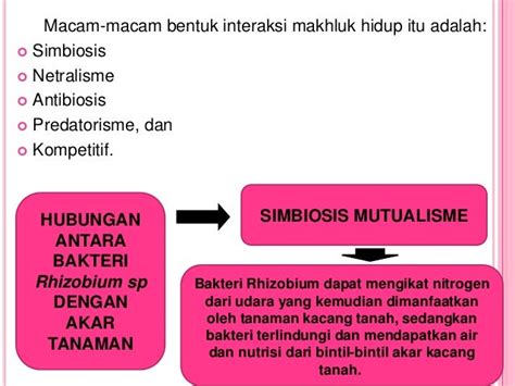 Ppinteraksi tumbuhan dengan mikroba (bakteri)