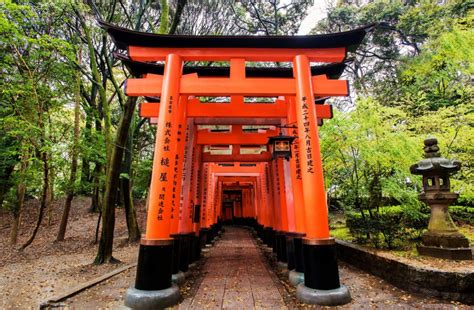 Kuil Fushimi Inari 1000 Gerbang Di Jepang - ARTFORIA