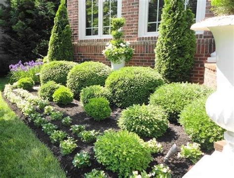 Choosing The Best Garden Shrubs | Landscaping shrubs, House landscape, Shrubs for landscaping