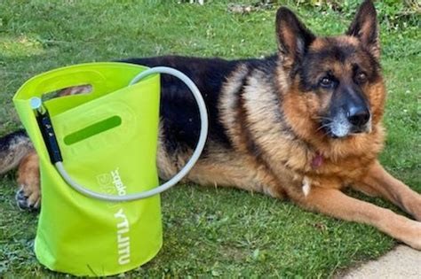 5 Best Portable Dog Showers [Top Recommendations in 2021]