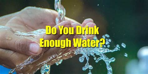 Your Health: Do You Drink Enough Water? - Quizagogo