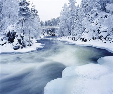 Finnland Landschaft Winter | Finnland Reiseführer | Winter scenery, Winter landscape, Winter scenes