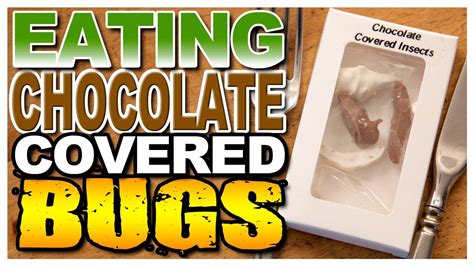 EATING BUGS - Chocolate Covered Insects - YouTube