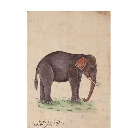 Indian Elephant Watercolor Painting