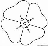 Poppy  Coloring Page Plants sketch template