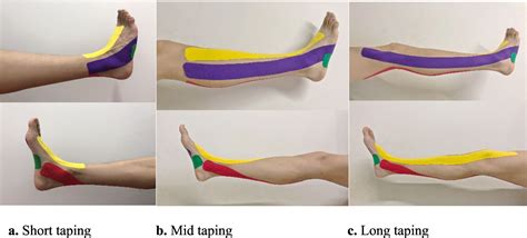 Kinesiology tape length and ankle inversion proprioception at step-down landing in individuals ...