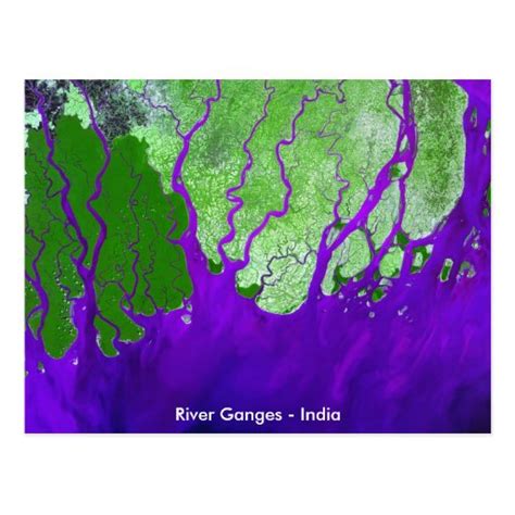 Ganges River Delta Satellite Image - India Postcard | Zazzle