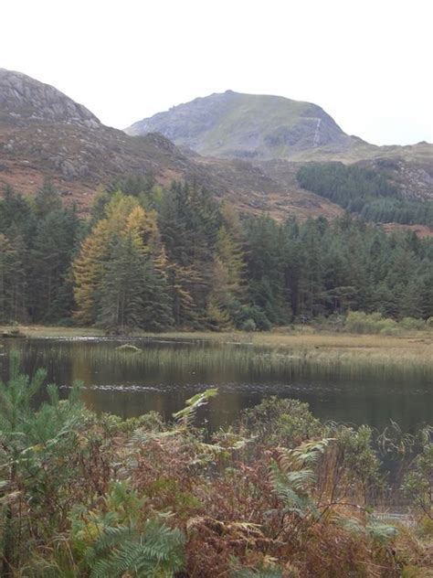 Beddgelert Forest, Gwynedd (LL55 4UU) - area information, map, walks ...