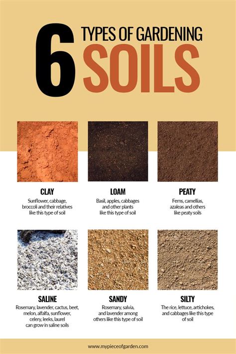 Which types of soil for your indoor garden ? | Types of soil, Soil, Edible wild plants