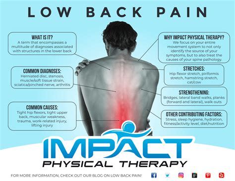 Low Back Pain Diagram