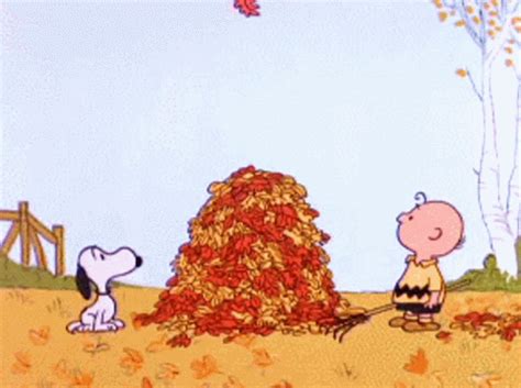 Autumn Leaves GIF - Autumn Leaves - Discover & Share GIFs