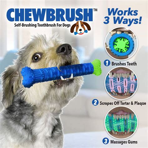 What Is The Best Thing For Cleaning Dogs Teeth