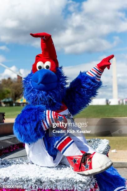 Washington Wizards Mascot G Wiz Photos and Premium High Res Pictures ...