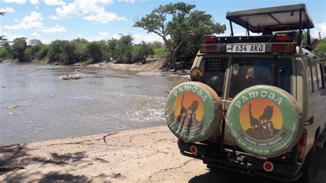 A guide to a Luxury Safari in Serengeti National Park - Pamoja Tours ...