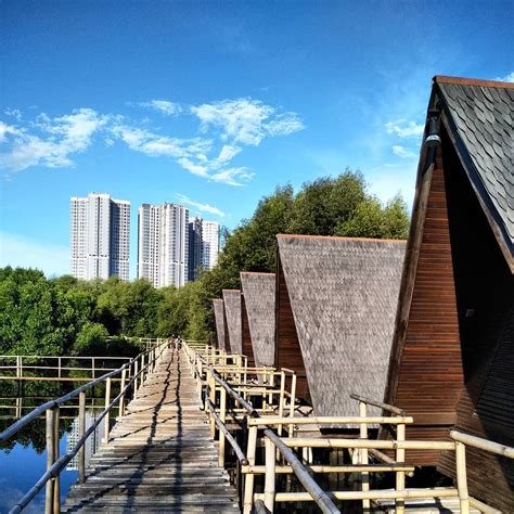 Inilah Keindahan Hutan Mangrove PIK, Salah Satu Destinasi Wisata Andalan Jakarta