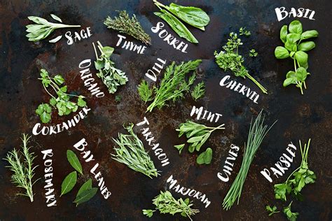 How to use herbs - Jamie Oliver | Features