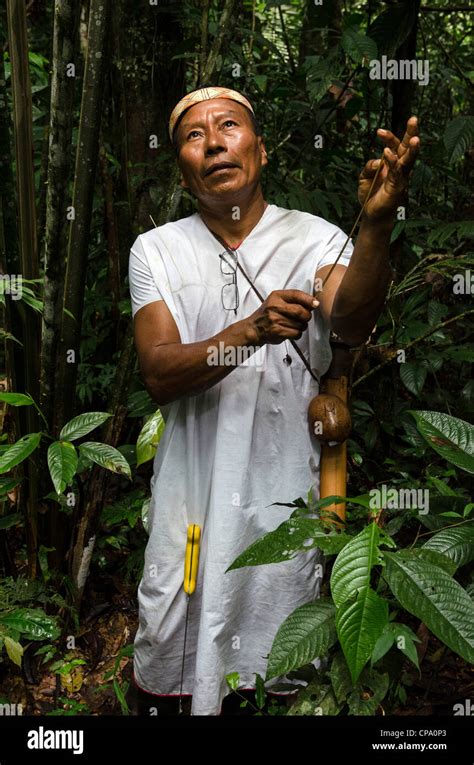 Secoya tribe at Secoya lodge Amazon basin alongside Aguarico river Tierras Orientales Ecuador ...