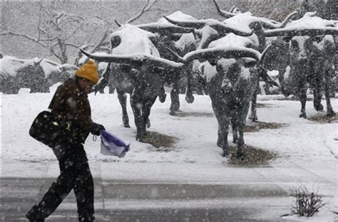 Dallas Snow: Updates, PICTURES Of Rare Weather (PHOTOS, VIDEO) | HuffPost