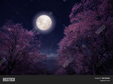 Romantic Night Scene Image & Photo (Free Trial) | Bigstock