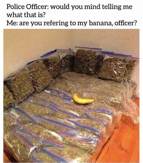 Suspicious Banana : r/dank_meme