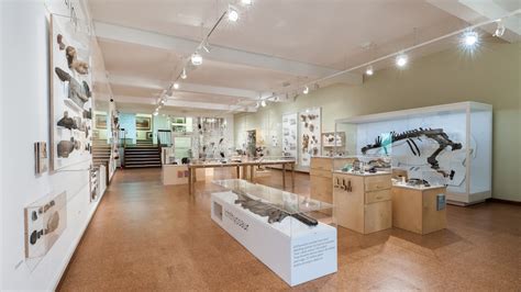 Collections & Galleries - Derby Museums | Derby Museums