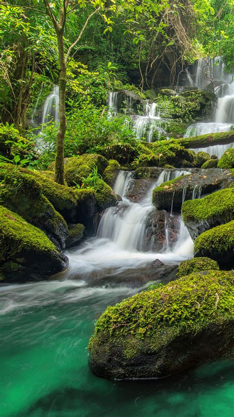 Waterfall in green forest in jungle at Phu Tub Berk mountain,Phetchabun ...